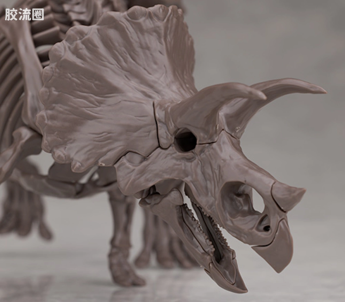 万代综合拼装模型系列 Imaginary Skeleton系列 三角龙 - 图片